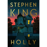 Stephen King Holly (inbunden)