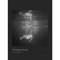 Max Ström What happens in the dark (inbunden, eng)