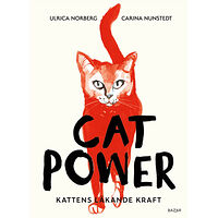 Carina Nunstedt Cat power : kattens läkande kraft (bok, kartonnage)