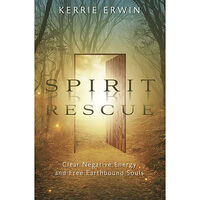 Llewellyn Spirit Rescue (häftad, eng)