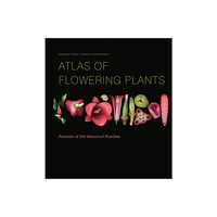 Ingeborg M Niesler Atlas Of Flowering Plants (inbunden, eng)