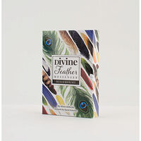 Denicola Alison Divine Feather Messenger