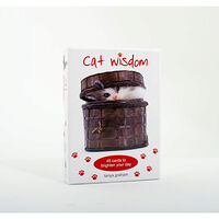 Tanya Graham Cat Wisdom Cards New Edition : 45 Cards to Brighten Your Day