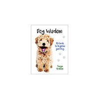 Blue Angel Publishing Dog Wisdom Cards New Edition