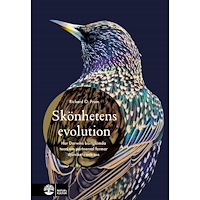 Richard O. Prum Skönhetens evolution : hur Darwins bortglömda teori om det sexuella urvalet formar djurriket - och oss (inbunden)