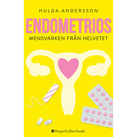 Hulda Andersson Endometrios : mensvärken från helvetet (inbunden)