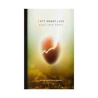 Karl-Erik Edris I ett annat ljus : om de stora livsfrågorna (pocket)