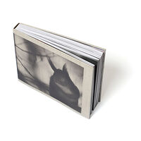 Mats Andersson Nature Diary (bok, klotband, eng)