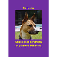 Pia Haxner Samtal med Strumpan : en gatuhund från Irland (inbunden)