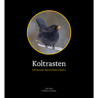 Clas Thor Koltrasten : Sveriges Nationalfågel (inbunden)