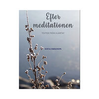 Sofia Eriksson Efter meditationen: texter från hjärtat (bok, kartonnage)