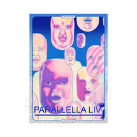 Olivier Schrauwen Parallella liv (bok, danskt band)