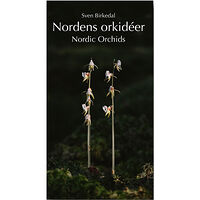 Sven Birkedal Nordens orkidéer : en fältguide / Nordic Orchids : a field guide (inbunden)