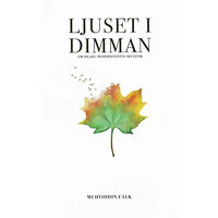 Muhyiddin Falk Ljuset i dimman - Om Islam i modernitetens skuggor (pocket)