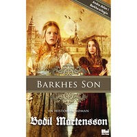 Bodil Mårtensson Barkhes son : en historisk spänningsroman (pocket)