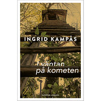 Ingrid Kampås I väntan på kometen (bok, kartonnage)