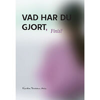 Kerstin Blidstam Ahlin Vad har du gjort Finis? (inbunden)