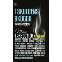 Nina Larsdotter I skuldens skugga (häftad)