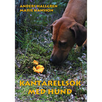 Anders Hallgren Kantarellsök med hund (inbunden)