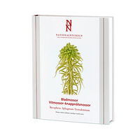 Niklas Lönnell Bladmossor: Vitmossor – knappnålsmossor: Bryophyta: Sphagnum–Tetrodontium (inbunden)