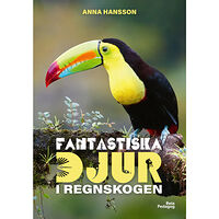 Anna Hansson Fantastiska djur i regnskogen (inbunden)