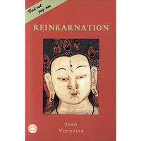 Jean Vernette Reinkarnation (pocket)