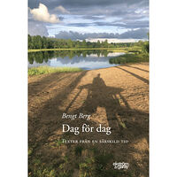 Bengt Berg Dag för dag : texter från en särskild tid (bok, danskt band)