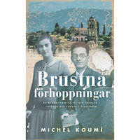 Michel Koumi Brustna förhoppningar : en broderifamiljs liv och leverne i Léfkara och senare i Stockholm (inbunden)