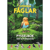 Martin Emtenäs Svenska fåglar pysselbok : med klistermärken
