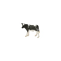Schleich Schleich Farm World - Holstein-kalv
