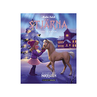 Malin Falch Stjärna : skattjakten (bok, kartonnage)