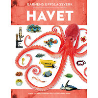 Miranda Macquitty Barnens uppslagsverk. Havet (bok, kartonnage)