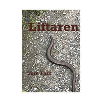 Tom Falk Liftaren (häftad)
