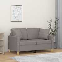 vidaXL 2-sits soffa med prydnadskuddar ljusgrå 120 cm tyg