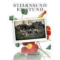 Johan Björkstedt Stjärnsund en stund (häftad)