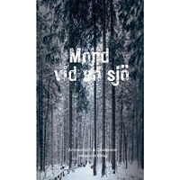 David Arrowsmith Mord vid en sjö (häftad)