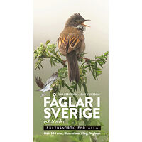 Jan Pedersen Fåglar i Sverige och Norden : fälthandbok för alla (bok, flexband)
