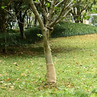 vidaXL Juterulle 0,25x100 m 100% jute 200 gsm