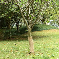 vidaXL Juterulle 0,5x10 m 100% jute 200 gsm