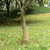 vidaXL Juterulle 0,25x25 m 100% jute 200 gsm