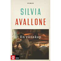 Silvia Avallone En vänskap (inbunden)