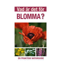 David Burnie Vad är det för blomma? : en praktisk naturguide (häftad)