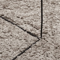 vidaXL Ryamatta PAMPLONA lång lugg modern beige 80x150 cm