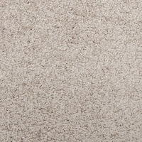 vidaXL Ryamatta PAMPLONA lång lugg modern beige 80x150 cm