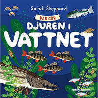 Sarah Sheppard Vad gör djuren i vattnet? (bok, board book)
