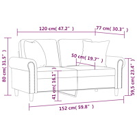 vidaXL 2-sitssoffa med prydnadskuddar brun 120 cm sammet