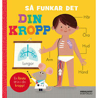 Amelia Hepworth Så funkar det. Din kropp (bok, board book)