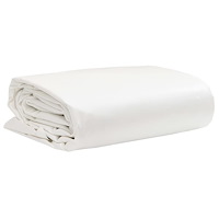 vidaXL Presenning vit 2,5x4,5 m 650 g/m²