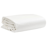vidaXL Presenning vit 5x7 m 650 g/m²