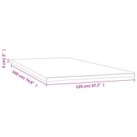 vidaXL Madrasskydd 120x190x5 cm
